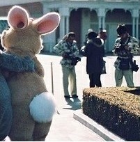 ��ͨ�����˰�����ͷ�� �������������