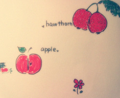 ����������ͷ�� �����TA���������������ͷ��