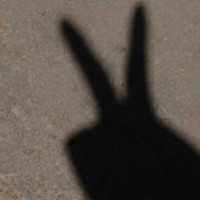 ��è����������ͼΪ�����Ҹ�����ͷ��