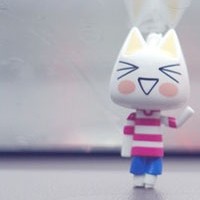 ���ÿ� ���¿ɰ�������ͷ���ؼ�