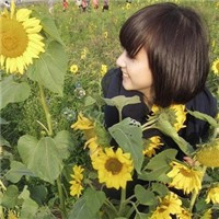 ���տ������ͷ�� ����󲿷�Ϊ����ͷ