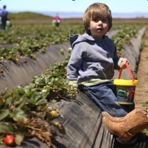 ���ֲ������QQ�����Ҹ�ͷ��&nbsp;˼�����ǰ��δ�е�����