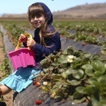 ���ֲ������QQ�����Ҹ�ͷ��&nbsp;˼�����ǰ��δ�е�����