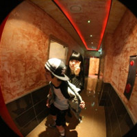 2011��������������¸���ͷ��&nbsp;�����������ȫ������