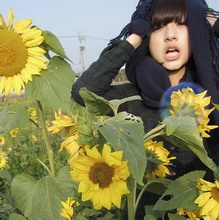 HO~���۵��Ҹ�����ͷ�񣺼�į�ĳǱ��ﾡ��ĸ質��