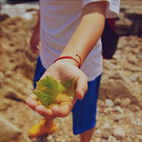 ���������ů������ͷ��