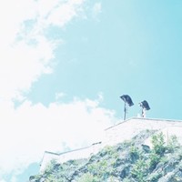 ����԰ɱ�� ���ַ��˧������ͷ��