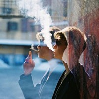 ��ѡ�����ȼ���˧����������ͷ��