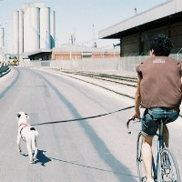 ��������������ͷ�� ����������С�Ե�