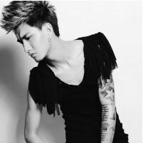 С���Ժڰ�����ͷ���ٶ���Ϯ