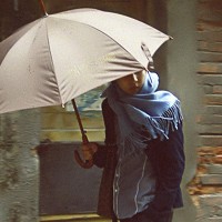 ����������������ͷ�� ��ֻ��������