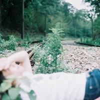 ����������������ͷ�� ��ֻ��������