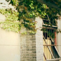 ���ָ�Ц�ɰ�����ͷ�� ����������