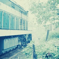 ���ָ�Ц�ɰ�����ͷ�� ����������