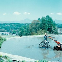 ���ָ�Ц�ɰ�����ͷ�� ����������