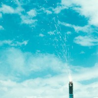 ���ָ�Ц�ɰ�����ͷ�� ����������