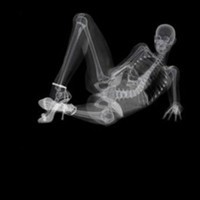 ���Ի�����ζ ���ʺ����ռ�ͷ���ŷ��ͷ��