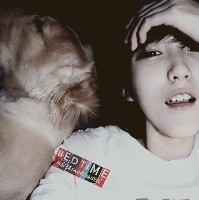 ��ĩ�������� ����˧��������ͷ��