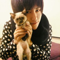 ��ĩ�������� ����˧��������ͷ��