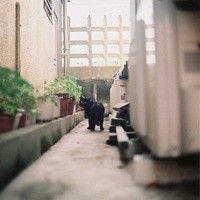 ���ַ����һ�õľ������������ͷ��