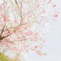 ���ַ����һ�õľ������������ͷ��