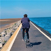 ���ַ����һ�õľ������������ͷ��