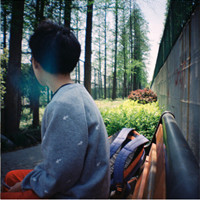 ɫ�ʸ���ǿ����������������ͷ��