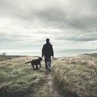 ɫ�ʸ���ǿ����������������ͷ��