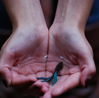 �����ټ� ����ͷ��ͬ��Ҳ�������⾳