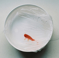 �����ټ� ����ͷ��ͬ��Ҳ�������⾳