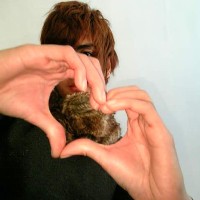 ����ͷ�� ��������粻��������֮����