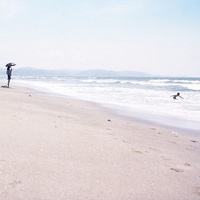 �е��į�˸е��������Ը���ͷ��