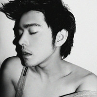 ���˺ϼ�������������ʮ��ĸ���ͷ��