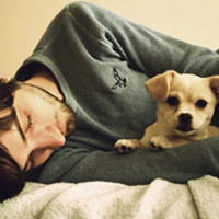 ��Ұŷ��������ϵͷ�� ������ȫ��ͬ�ķ��