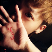 ��Ұŷ��������ϵͷ�� ������ȫ��ͬ�ķ��