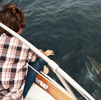 ����������������������˧��QQͷ��