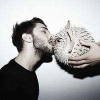 �ٱ��������������ͷ�� ����ϵŷ����