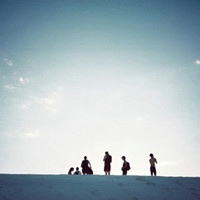 �ٱ��������������ͷ�� ����ϵŷ����