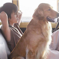 ��������ͷ�� ����װ����ɵ ������װ��