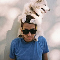 ��ͨ ���˾������������ͷ��