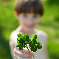 ���շ��� 50���źÿ��ĸ�������ͷ��