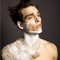 Ȥζ��ͷ ��ŷϵ����ͷ�����Ƚ�����