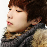 Ȥζ��ͷ ��ŷϵ����ͷ�����Ƚ�����