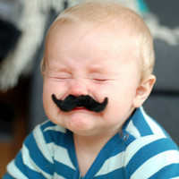 Ȥζ��ͷ ��ŷϵ����ͷ�����Ƚ�����