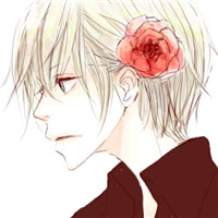 ��ͨ�����ɰ�ͷ�� ������ϵͷ�����