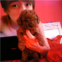 С�����˧����������������ͷ��