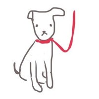 ������������ͷ�� ��Щ����ķ��