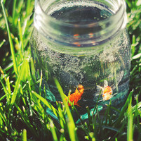 ��ͨ��ͷ�����������������