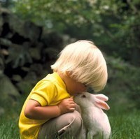 �̾�ͷ�µ������ɰ�˧������ͷ��