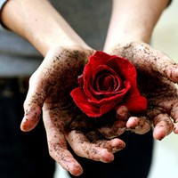 �⾳ ��ͷ Ψ����������ͷ�� ��Ҫ��ԥֱ�ӵ��